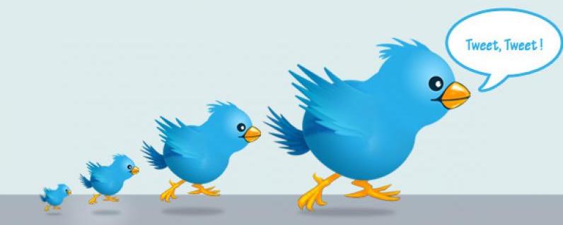 Les tweets bientÃ´t mieux indexÃ©s par Google